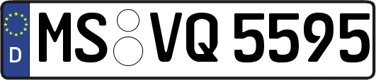 MS-VQ5595