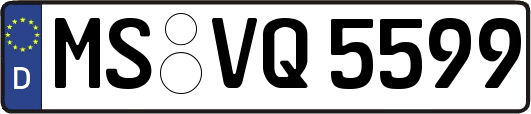 MS-VQ5599