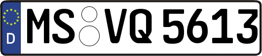 MS-VQ5613