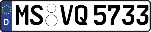MS-VQ5733