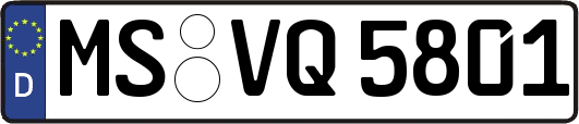 MS-VQ5801