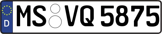 MS-VQ5875