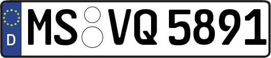 MS-VQ5891