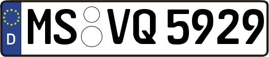 MS-VQ5929