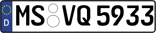 MS-VQ5933