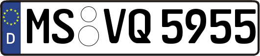 MS-VQ5955