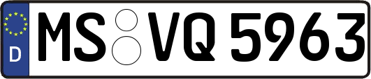 MS-VQ5963