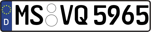 MS-VQ5965