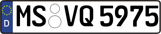 MS-VQ5975