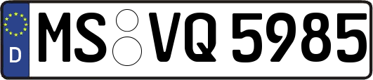 MS-VQ5985