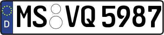 MS-VQ5987