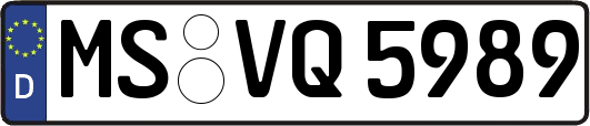 MS-VQ5989