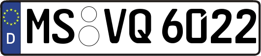 MS-VQ6022