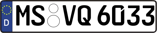 MS-VQ6033