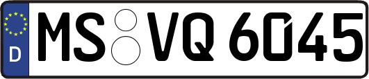 MS-VQ6045