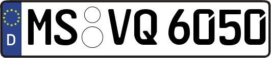 MS-VQ6050