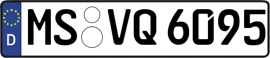 MS-VQ6095