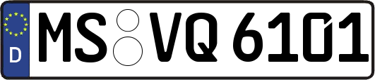 MS-VQ6101