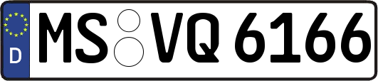 MS-VQ6166