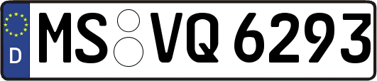 MS-VQ6293