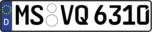MS-VQ6310