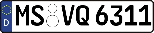 MS-VQ6311