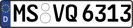 MS-VQ6313