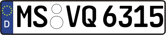 MS-VQ6315