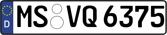 MS-VQ6375