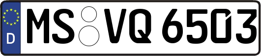 MS-VQ6503