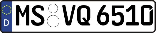 MS-VQ6510