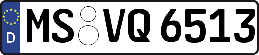 MS-VQ6513