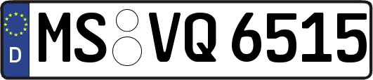 MS-VQ6515