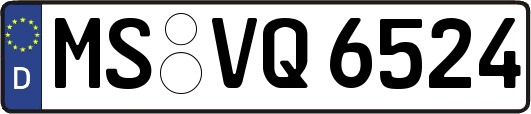 MS-VQ6524