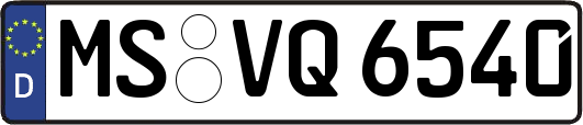 MS-VQ6540