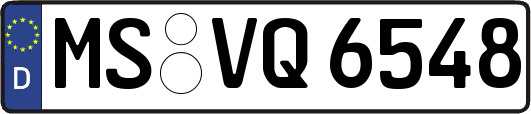 MS-VQ6548