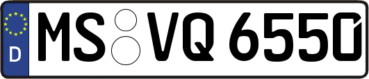 MS-VQ6550