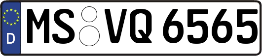 MS-VQ6565