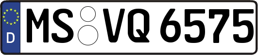 MS-VQ6575