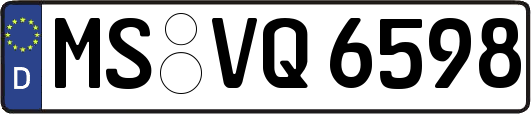 MS-VQ6598