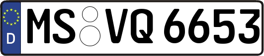 MS-VQ6653