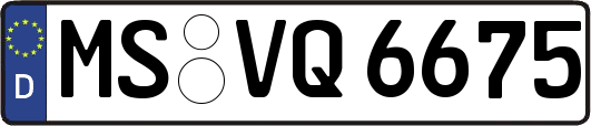 MS-VQ6675