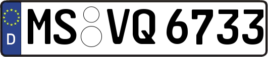 MS-VQ6733