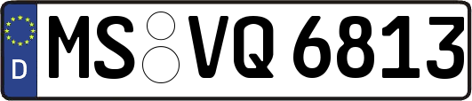 MS-VQ6813