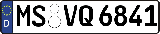 MS-VQ6841