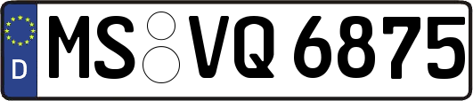 MS-VQ6875