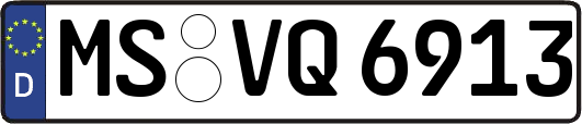 MS-VQ6913
