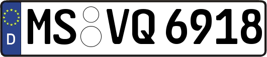 MS-VQ6918