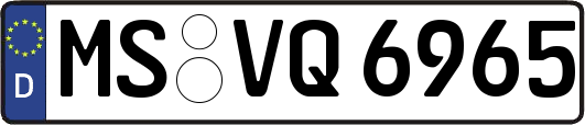 MS-VQ6965