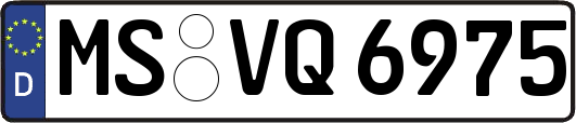 MS-VQ6975